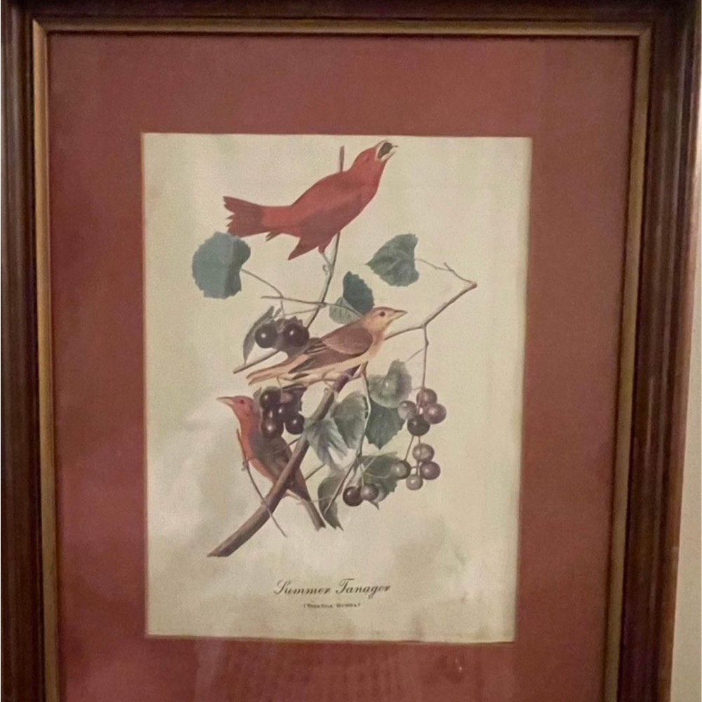 Mid century modern bird print with original mat and frame